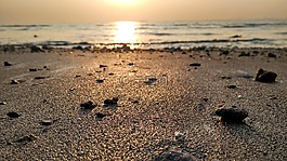 沙,海灘,海濱