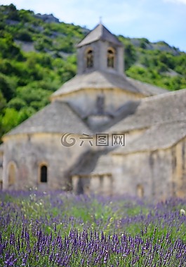 修道院sénanque,修道院,阿比