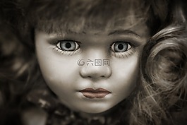 特寫,爬行,可愛