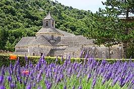 修道院sénanque,修道院,阿比