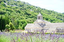 修道院sénanque,修道院,阿比