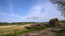字段,性質(zhì),沉默