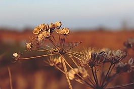 秋季,一年的时间,性质