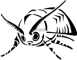 蛾,昆蟲,飛