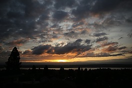 日出,湖,樹