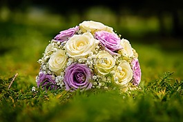 盛開(kāi),開(kāi)花,花束