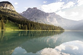 森林,湖,景觀