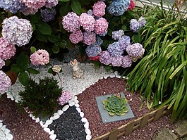 花園,小妖精,動物