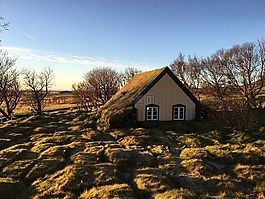 冰島,教會(huì),首頁