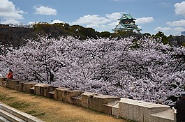 大阪,大阪城堡,城堡