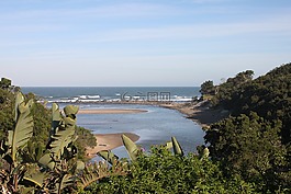 海洋,海滩,热带