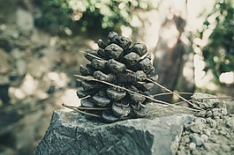 自來水,針,石