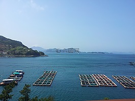 海,漁業,景觀
