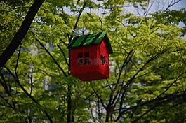 树,利基,春天