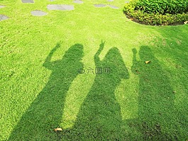 陰影,女孩,草