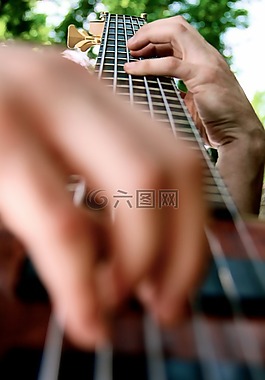 音樂,音樂家,低音