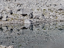 湖,spieglung,水