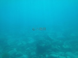 水下,海洋,游泳