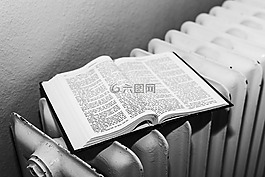 圣經(jīng) 》,本書,圣