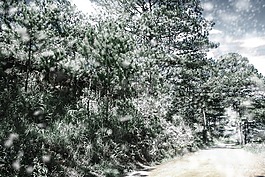 研究,winterfall,雪