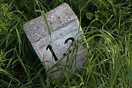 里程,路,離