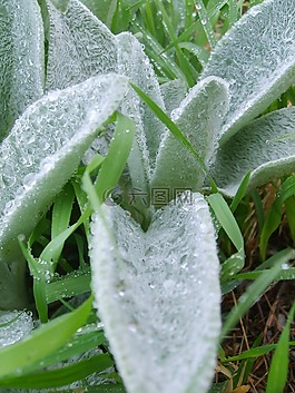 水,下降,一滴水