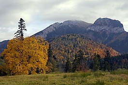 秋,顏色,山