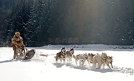温特斯,雪,性质