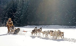 温特斯,雪,性质