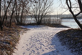 路徑,雪,軌道