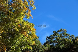 秋,云,秋天