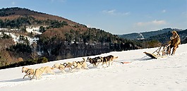温特斯,雪,性质