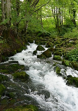 河,夏季,山