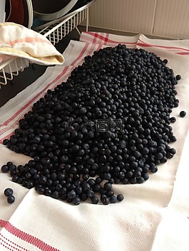 藍莓,漿果,食品