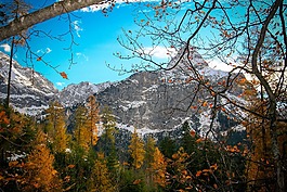 山,秋季,葉子
