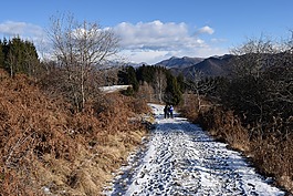 冬季景觀,景觀,山