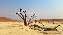 非洲,纳米比亚,景观
