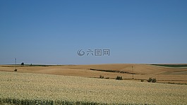 字段,夏天,視圖