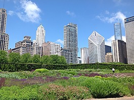 芝加哥,花园,城市
