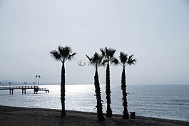 馬貝拉,碼頭,手掌