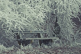 冰,水晶,凍結(jié)