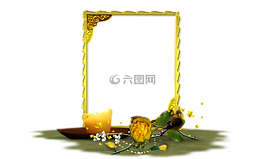 玫瑰,黃色,花