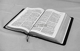 圣經(jīng),書,文本