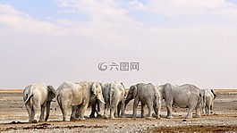 非洲,纳米比亚,性质