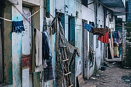 掛,業(yè),股票