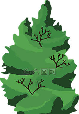 樹,森林,綠色