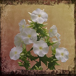 繪畫,照片油畫,藝術(shù)