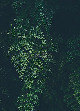 抽象,藝術,背景