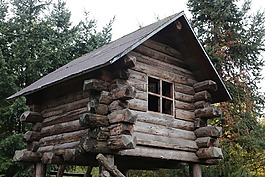 樹屋,木材,木