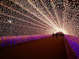 照明,日本,光